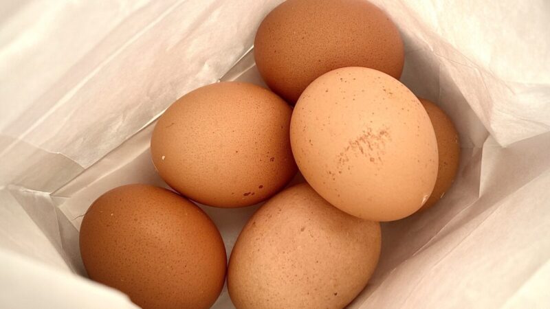 あぐりん村で購入した平飼い卵６個